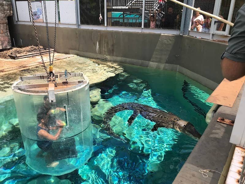 Crocosaurus Cove - Image 1