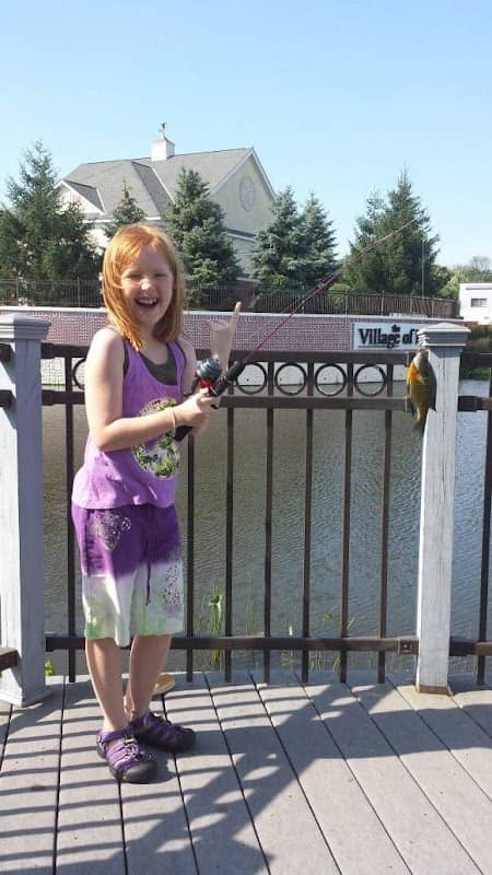 Commons Pond - Image 2