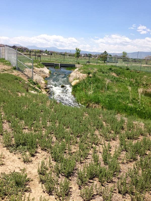 Blue Skies Park - Image 1