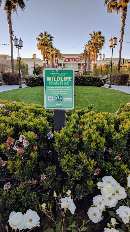 Wildlife Habitat - Image 2