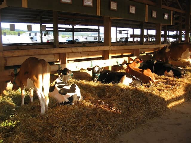 Lycoming County Fair Association - Image 1