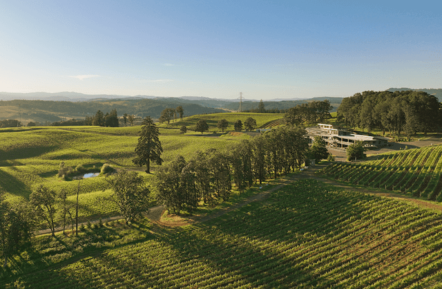 Alexana Winery - Image 3