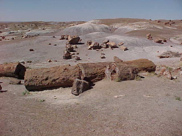 Whipple Point - Image 3