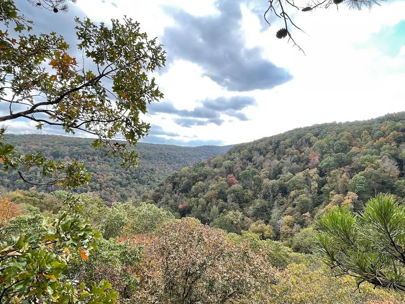 Hawksbill Crag/Whitaker Point - Image 1