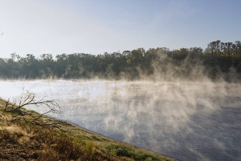 Grassy Lake State Wildlife Management Area - Image 1