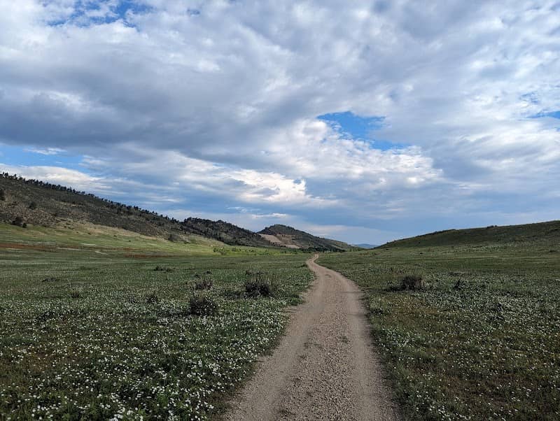 Pineridge Natural Area - Image 2
