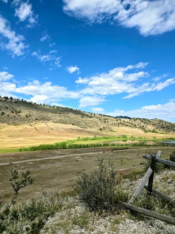 Pineridge Natural Area - Image 1
