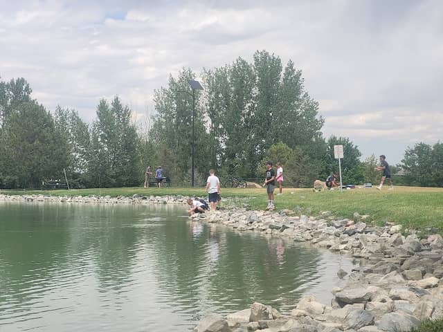 Blue Spruce Park - Image 1