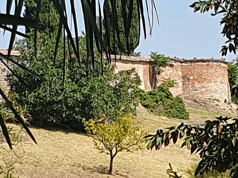Mura - Image 1