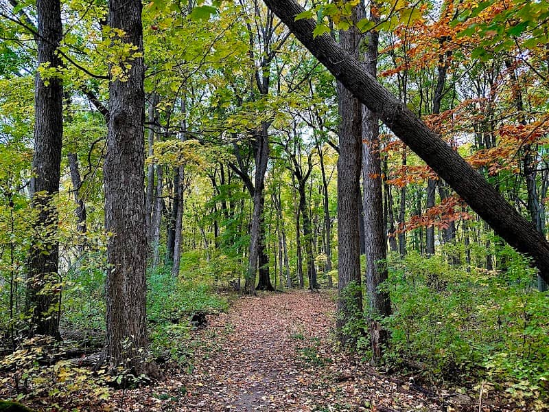 Highland Woods - Image 2