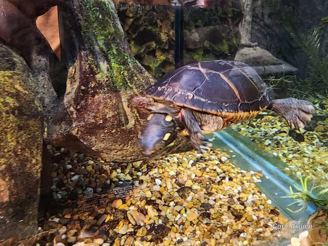 Steele Creek Nature Center - Image 2