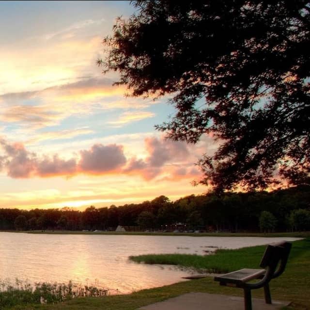 Lake Willastein Park - Image 2
