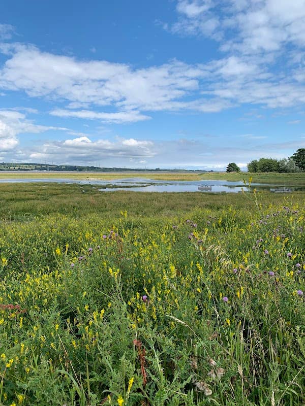 RSPB Skinflats - Image 1