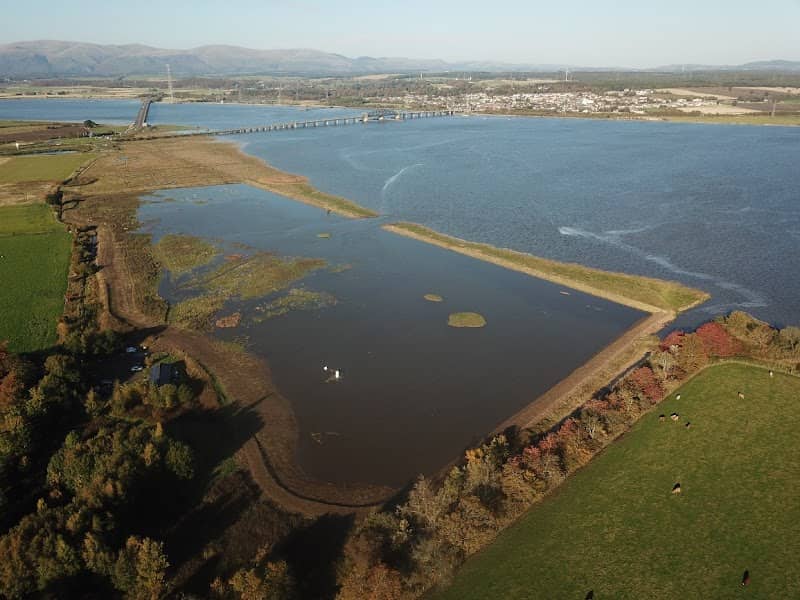 RSPB Skinflats - Image 3