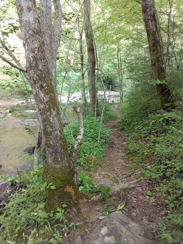 Clear Creek Trailhead - Image 1