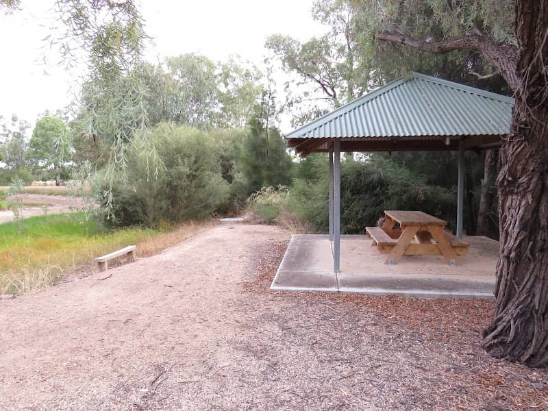 Wetlands - Image 2