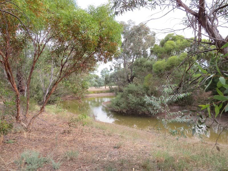 Wetlands - Image 1