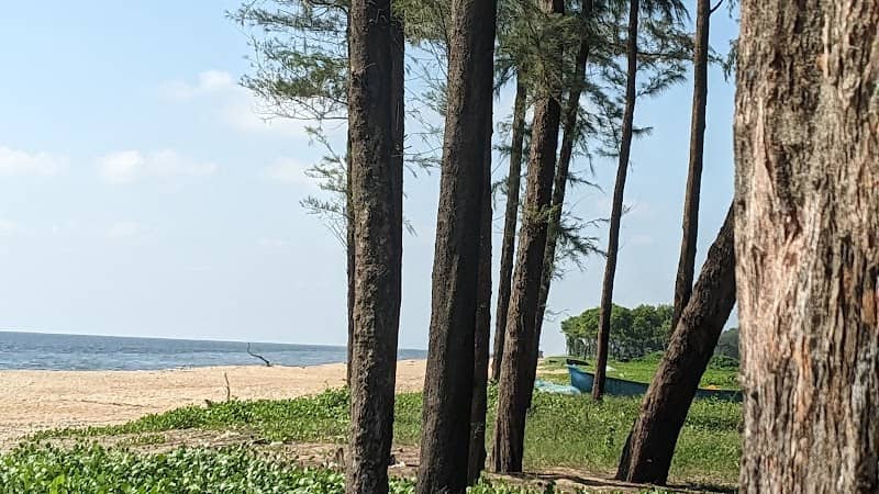 Mini Goa Chavakkad - Image 1