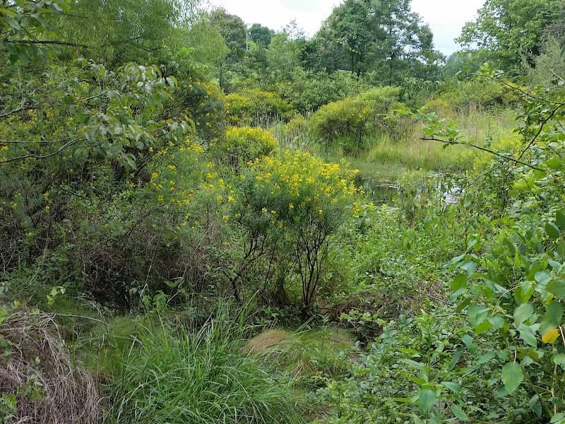 Pistol Creek Wetland Center - Image 1