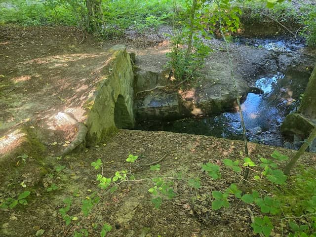 Aunelquelle - Image 2