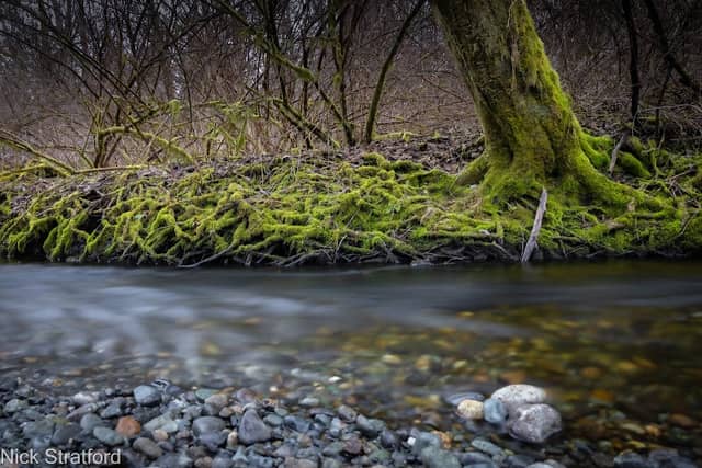 North Creek Trail - Image 1