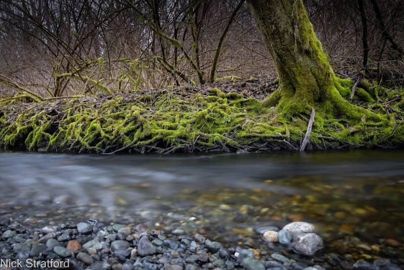 North Creek Trail - Image 1