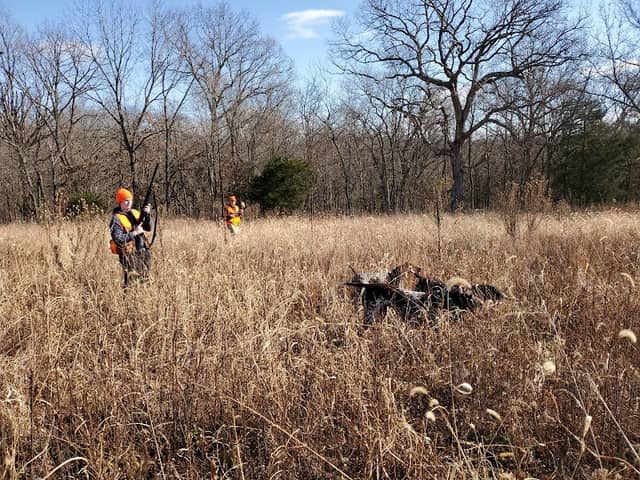vom Cedar Valley - Image 1