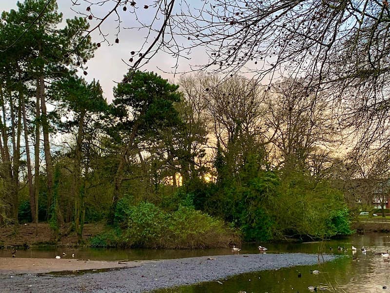 Roath Park Wild Gardens - Image 1