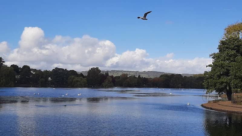 Roath Park Wild Gardens - Image 2