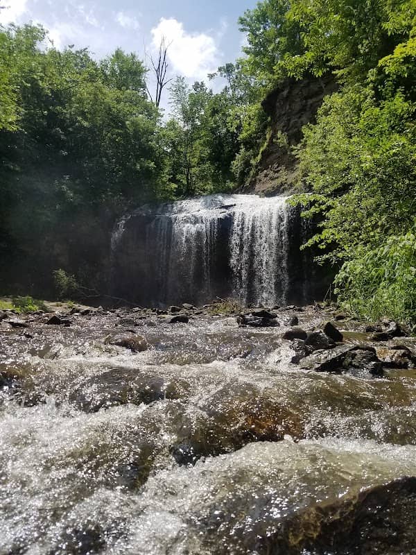 Mill Pond Park - Image 1