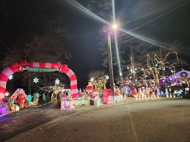Lights on Lakewood at Mirror Lake (aka Mirror Lake Lights) - Image 2