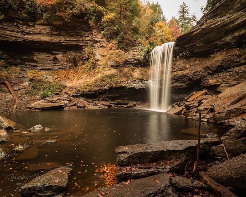 Savage Gulf State Park (West Trailhead - Greeter Falls) - Image 1