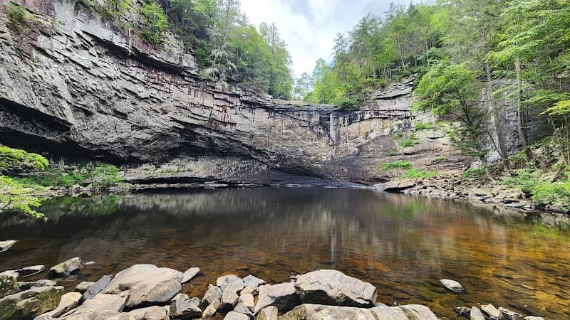 Savage Gulf State Park (West Trailhead - Greeter Falls) - Image 3
