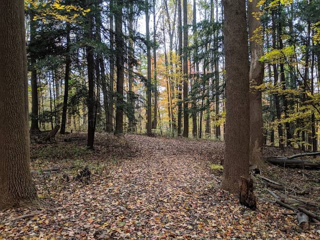 High Point Park - Image 2