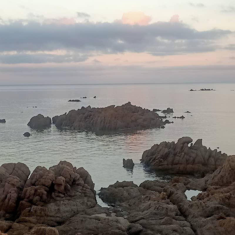 Easysarda - Image 1