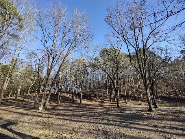 Jack Creek Mountain - Image 2