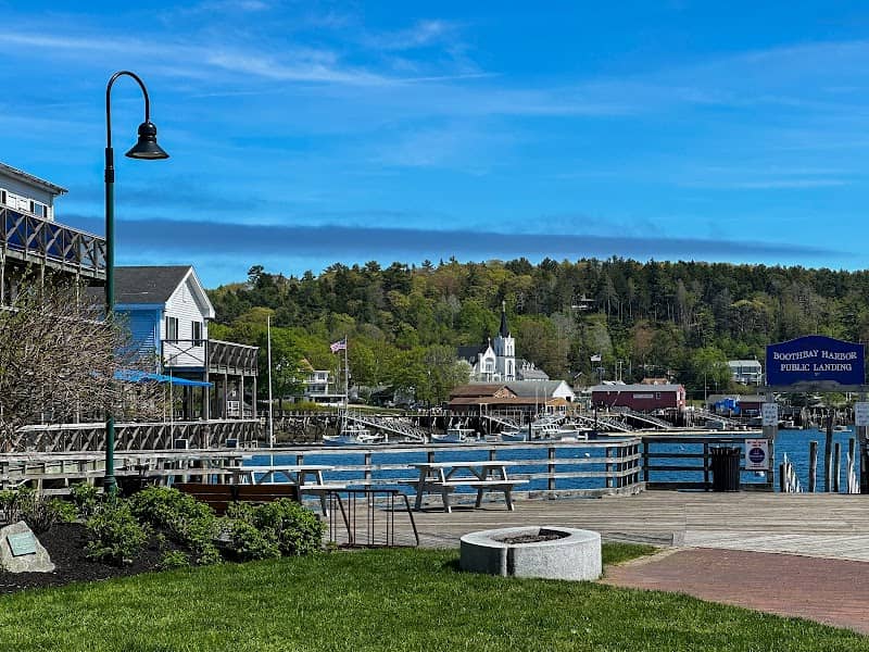 Whale Park - Image 1