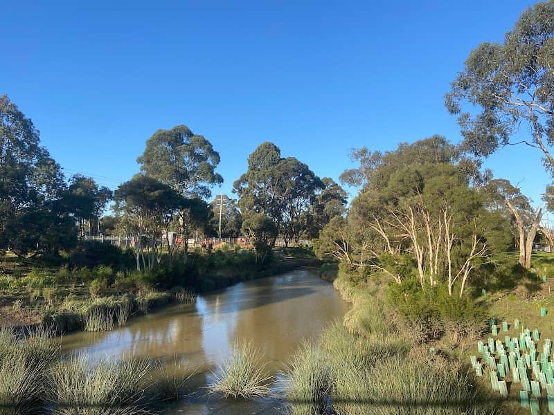 Tarralla Wetlands - Image 1