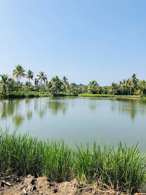 Kakkathuruthu Island Alappuzha, Kerala - Image 1