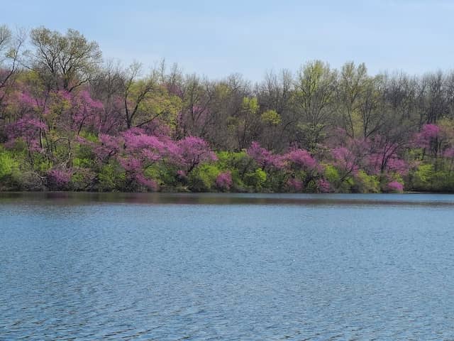 Red Haw State Park - Image 2