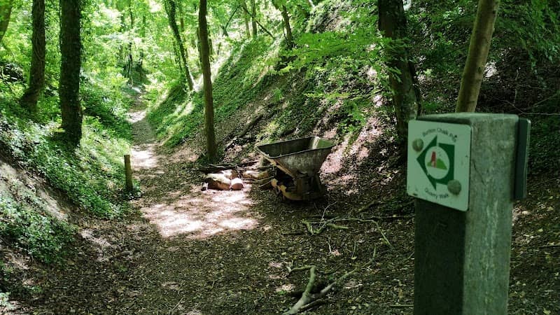 Buriton Chalk Pit - Image 2
