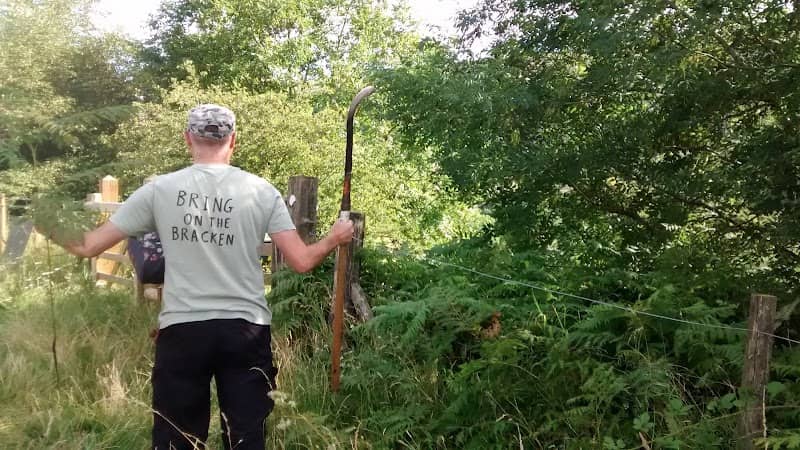 Gwent Wildlife Trust - Image 2