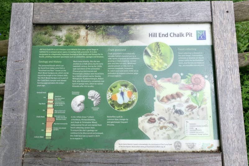 Hill End Chalk Pit - Image 1