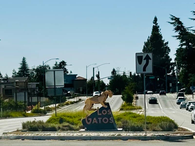 Los Gatos Lion - Image 1