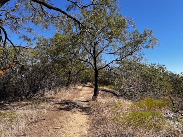 Mesquite Ridge Trail, .6 miles - Image 1