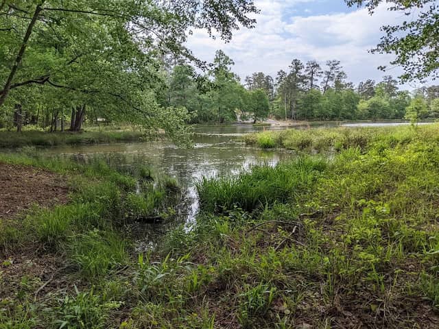 Arabia Mountain Trailhead - Image 1