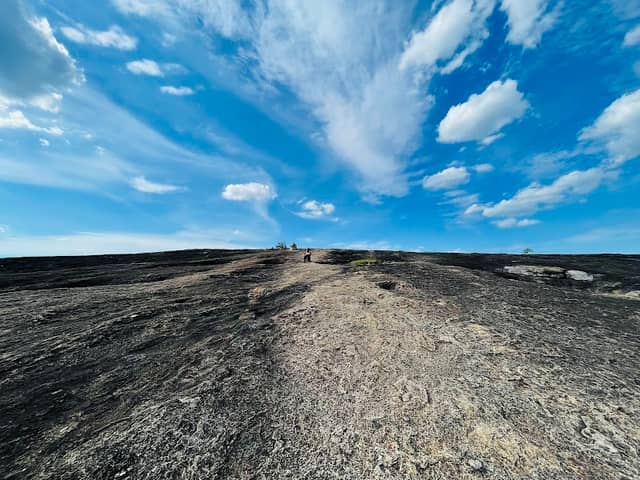 Arabia Mountain Trailhead - Image 2