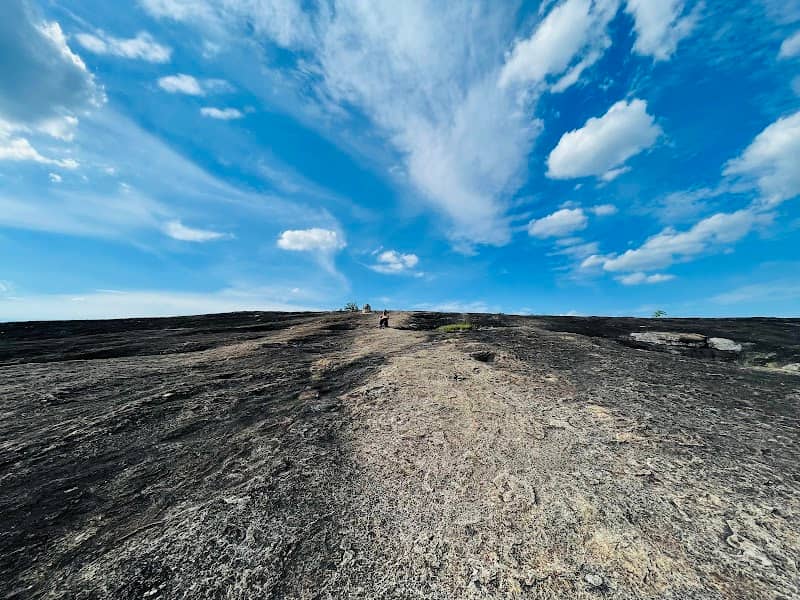 Arabia Mountain Trailhead - Image 2