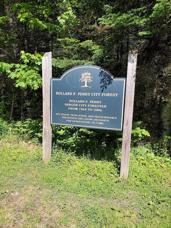 Bangor City Forest - Image 2