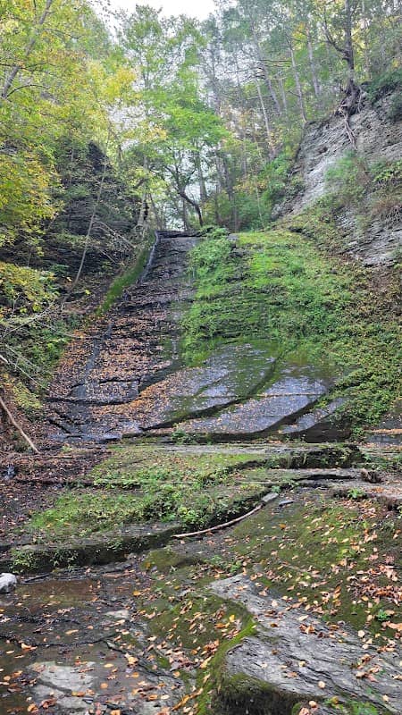 Cayuga Inlet Access - Image 2